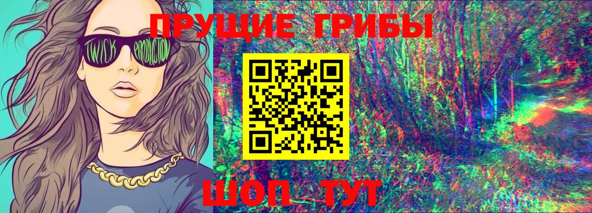 Галлюциногенные грибы Psilocybe  Галлюциногенные грибы прущие грибы  Истра  Вход с VPN 