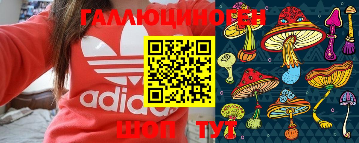 Галлюциногенные грибы Psilocybine cubensis Истра